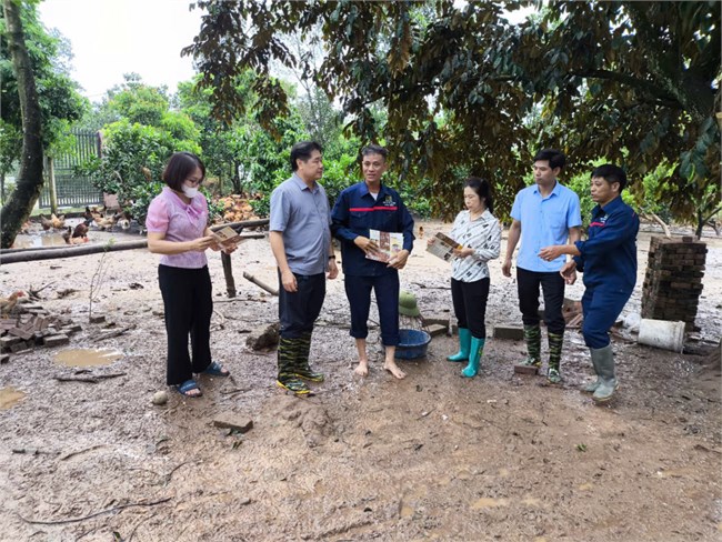 Khôi phục sản xuất nông nghiệp sau bão lũ (16/09/2024)